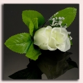 GR125 Róża w pąku - główka z liściem Cream